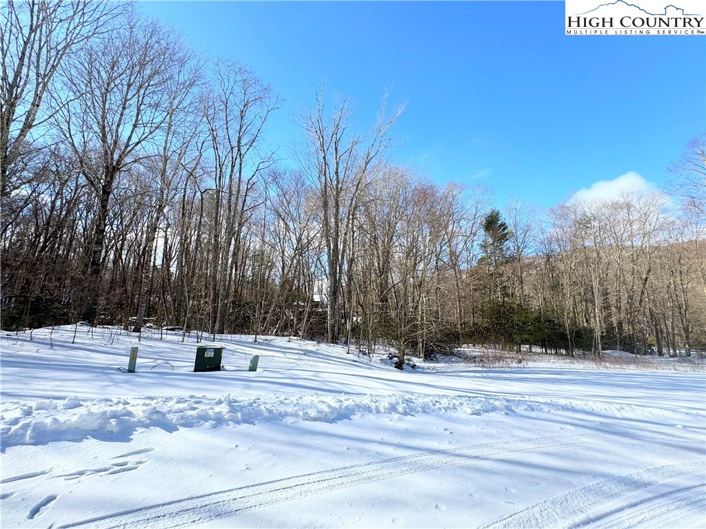 Lots 4 & 5 Trillium Lane Property Photo 6