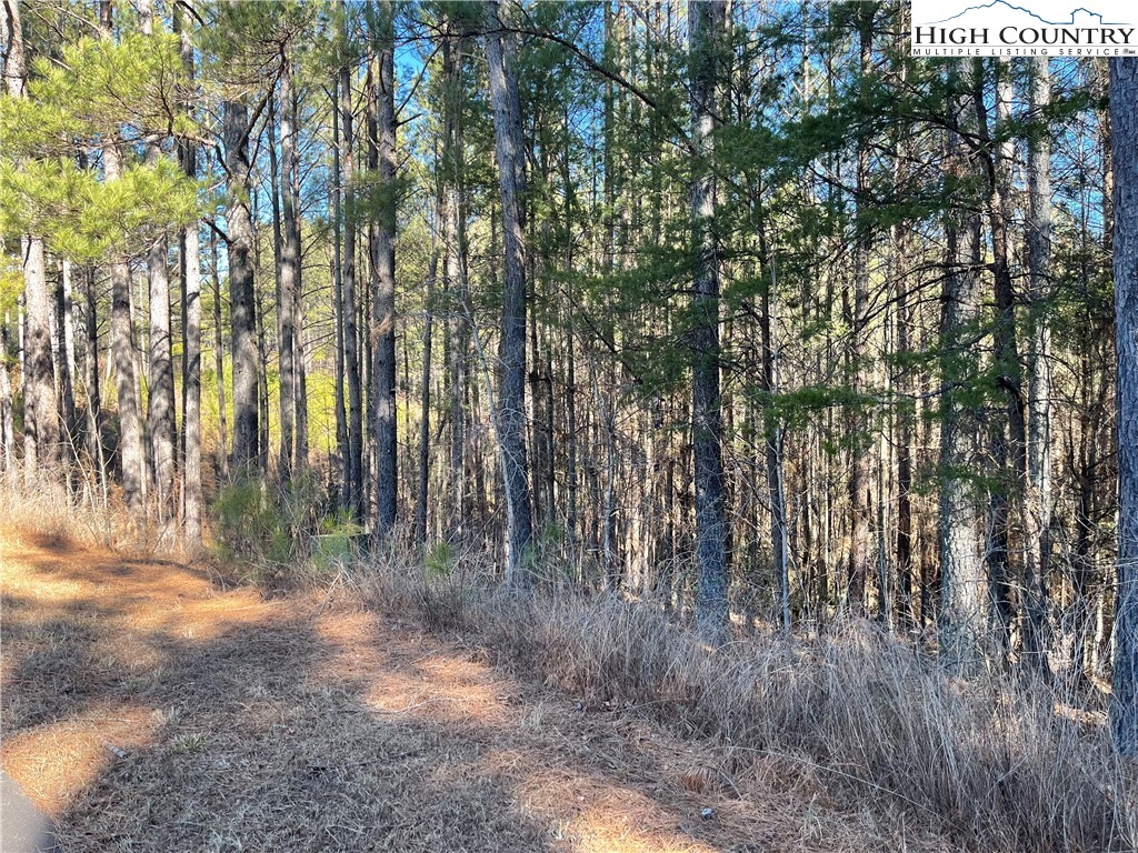 109 Shortoff Trail Property Photo 1