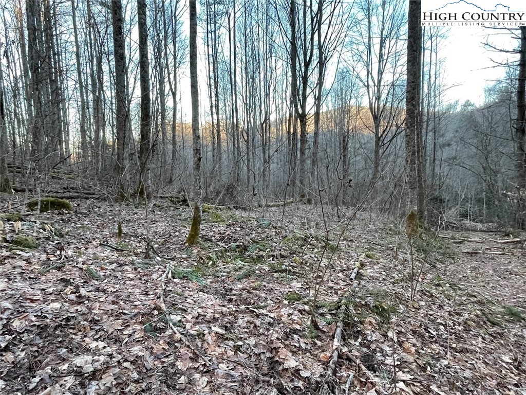 0 Dark Ridge Road Property Photo 1
