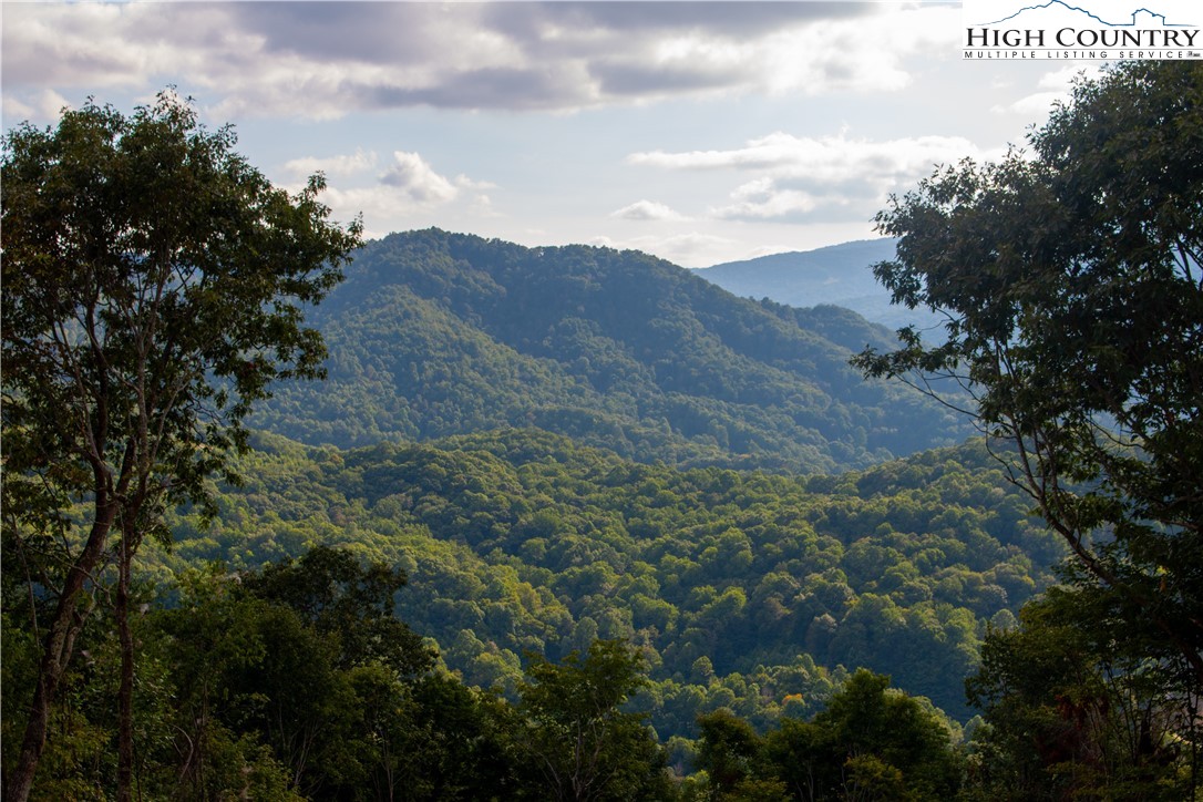 104 Bear Paw Road Property Photo 1