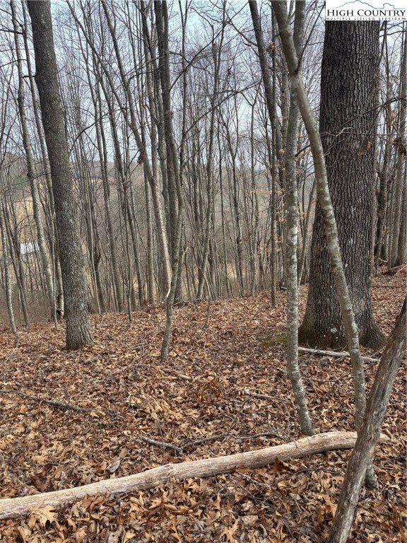 Tbd Pioneer Ridge Property Photo 5