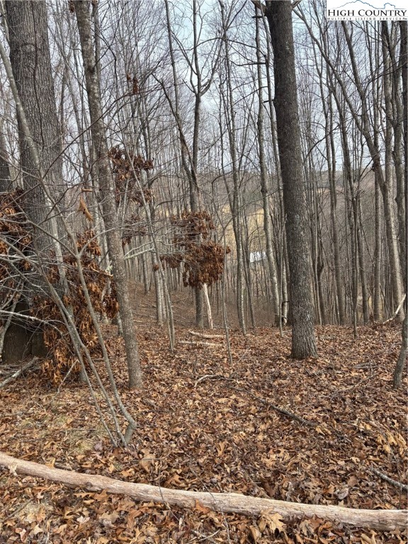Tbd Pioneer Ridge Property Photo 8