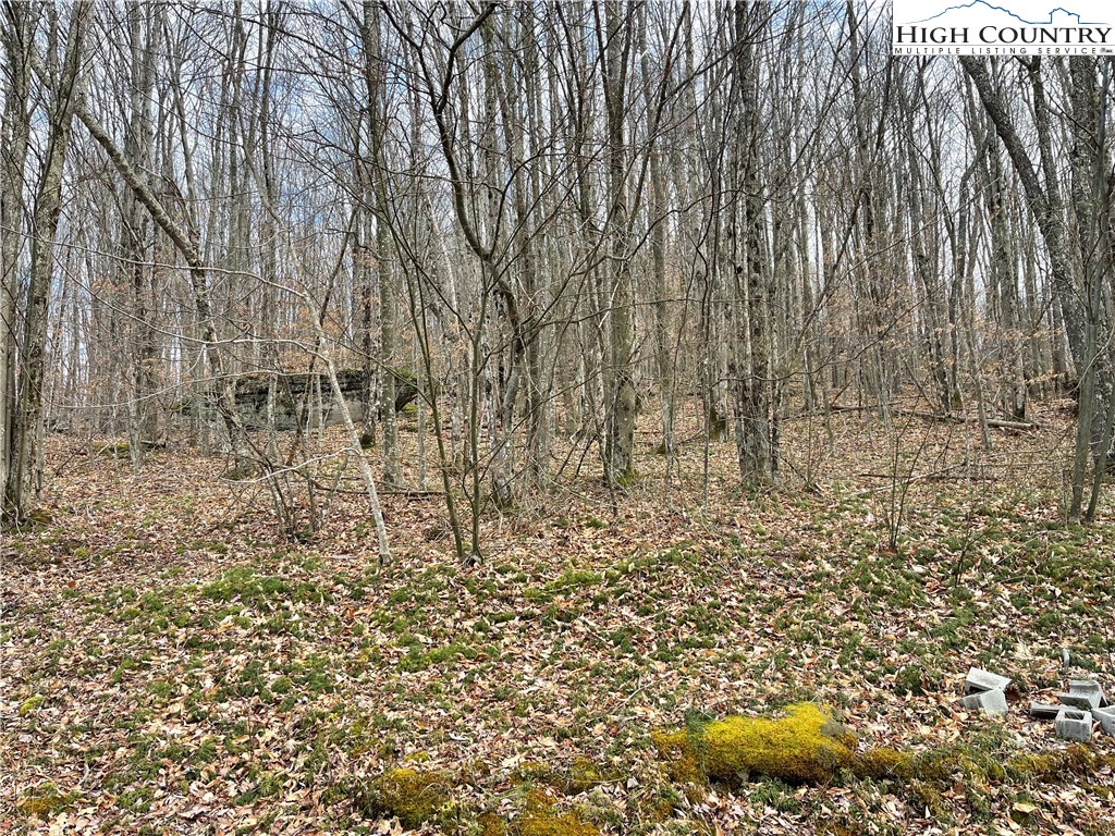 215 Wild Daisy Lane Property Photo 1