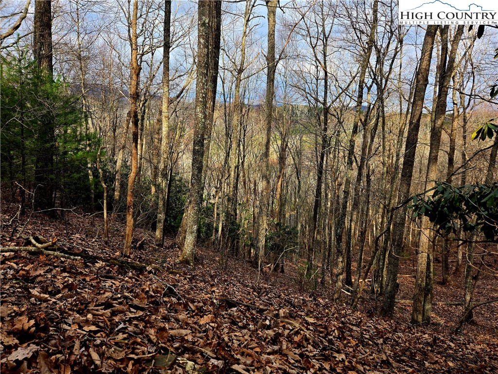 Lot 15 Riverstone Property Photo 1