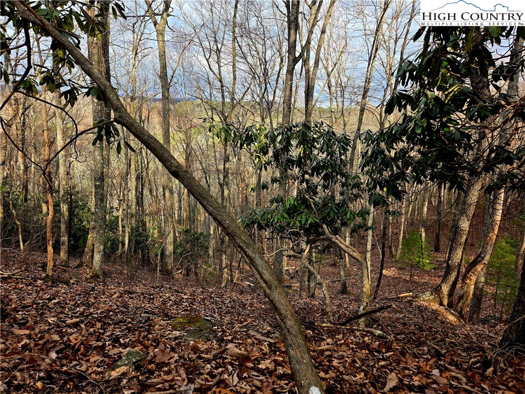 Lot 15 Riverstone Property Photo 2