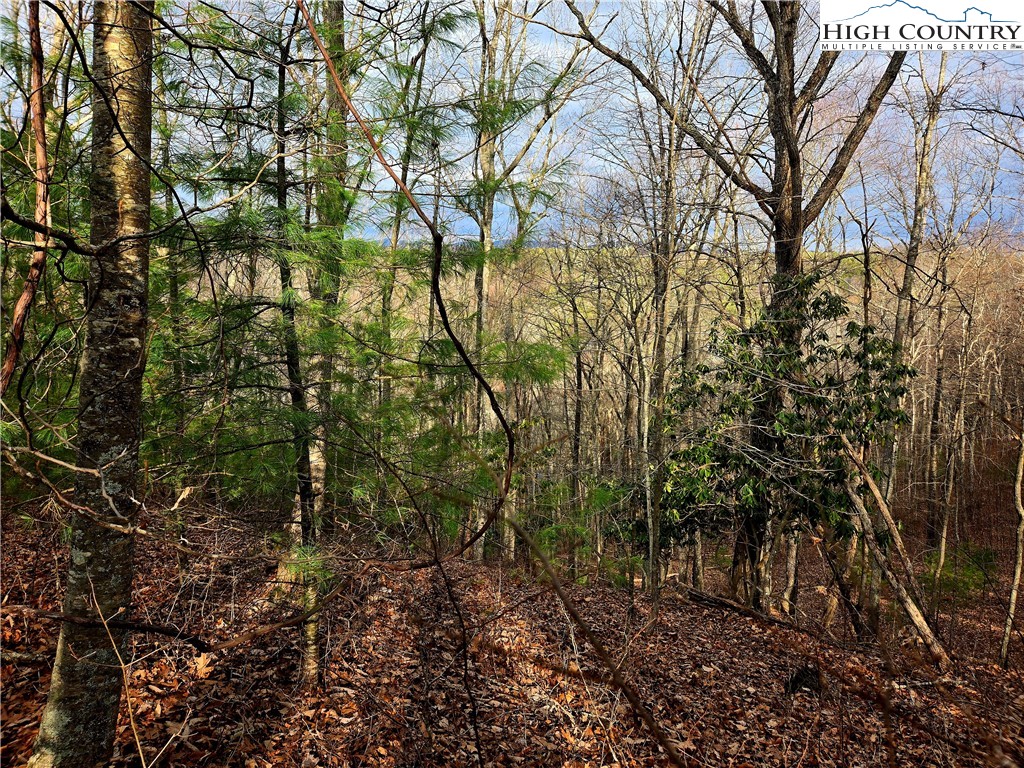 Lot 15 Riverstone Property Photo 3