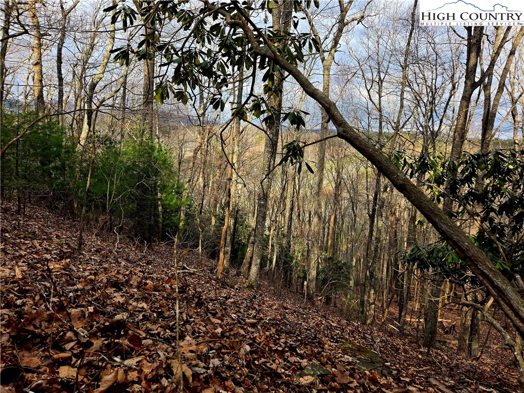 Lot 15 Riverstone Property Photo 4