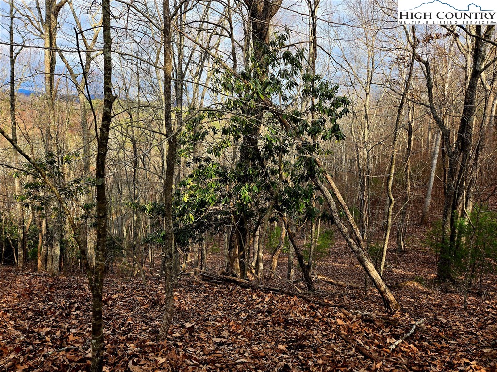 Lot 15 Riverstone Property Photo 5