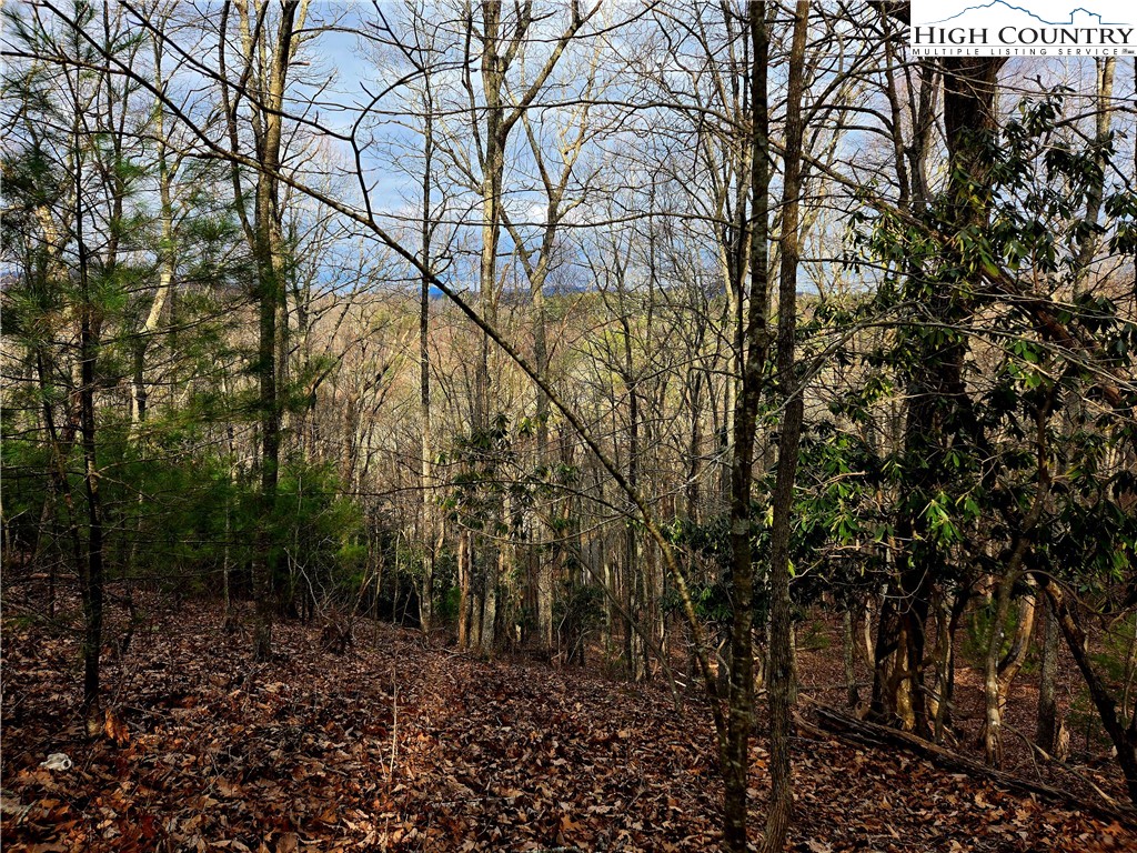 Lot 15 Riverstone Property Photo 6