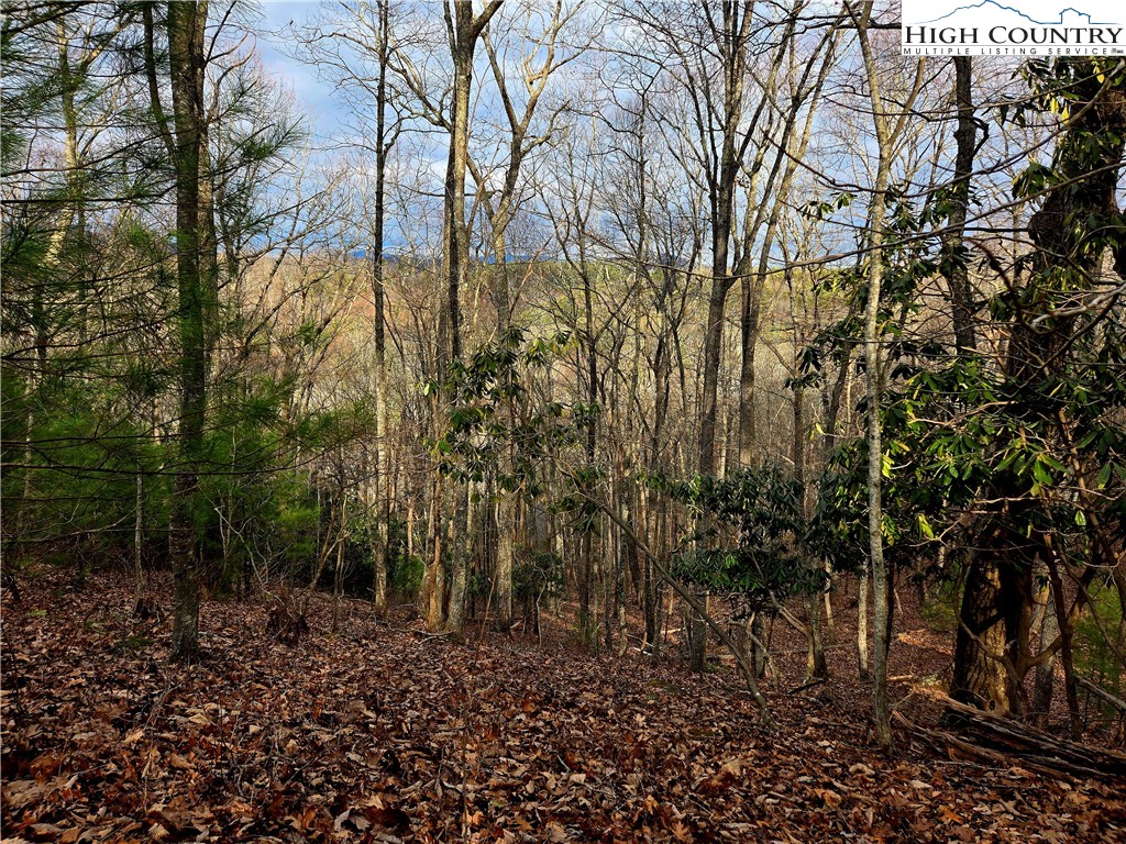 Lot 15 Riverstone Property Photo 7