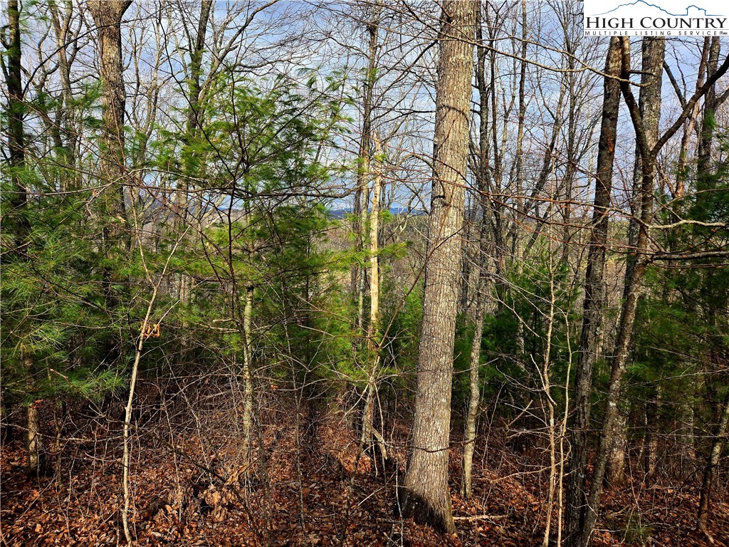 Lot 15 Riverstone Property Photo 8