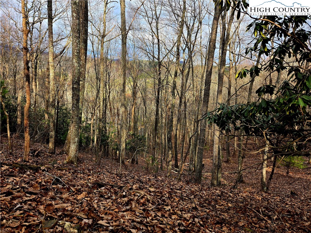 Lot 15 Riverstone Property Photo 9