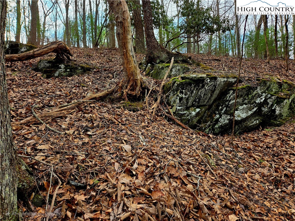 Lot 15 Riverstone Property Photo 10