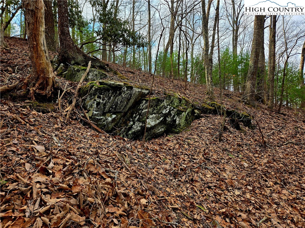 Lot 15 Riverstone Property Photo 11