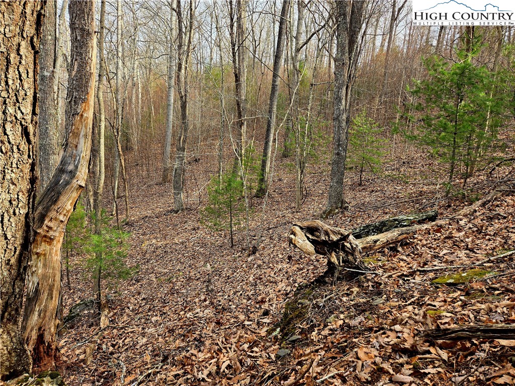 Lot 15 Riverstone Property Photo 12