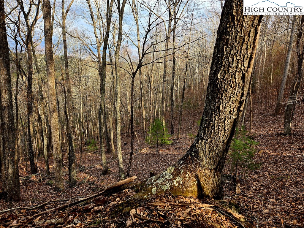 Lot 15 Riverstone Property Photo 13