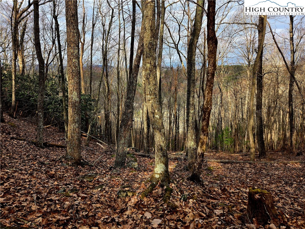 Lot 15 Riverstone Property Photo 14
