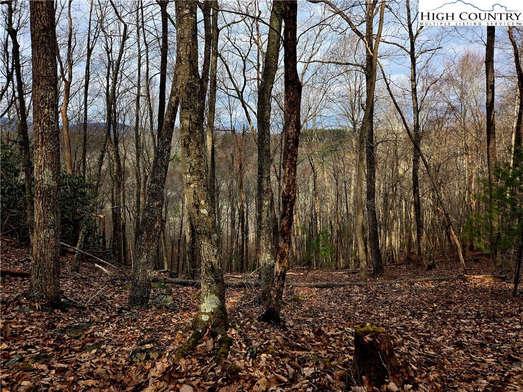Lot 15 Riverstone Property Photo 15