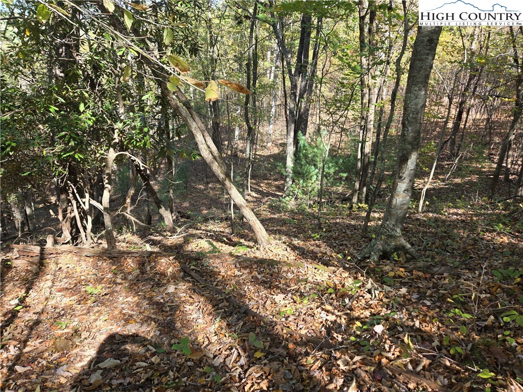 Lot 15 Riverstone Property Photo 16