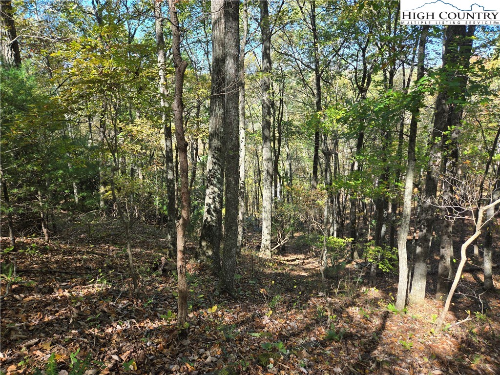 Lot 15 Riverstone Property Photo 17