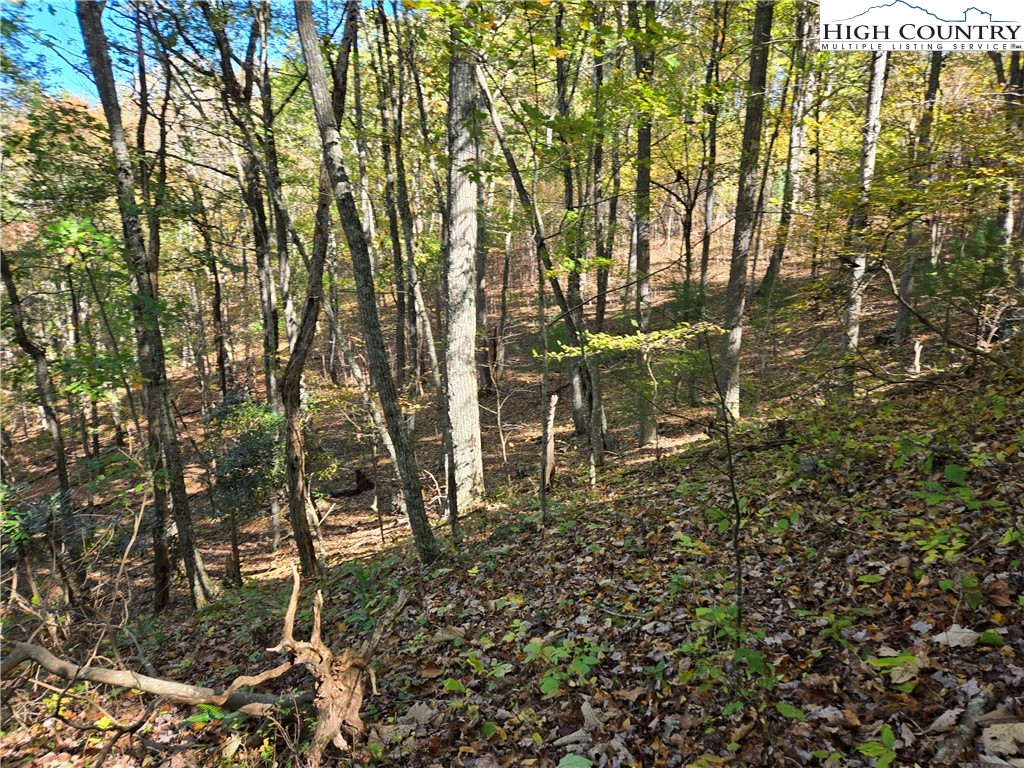 Lot 15 Riverstone Property Photo 18