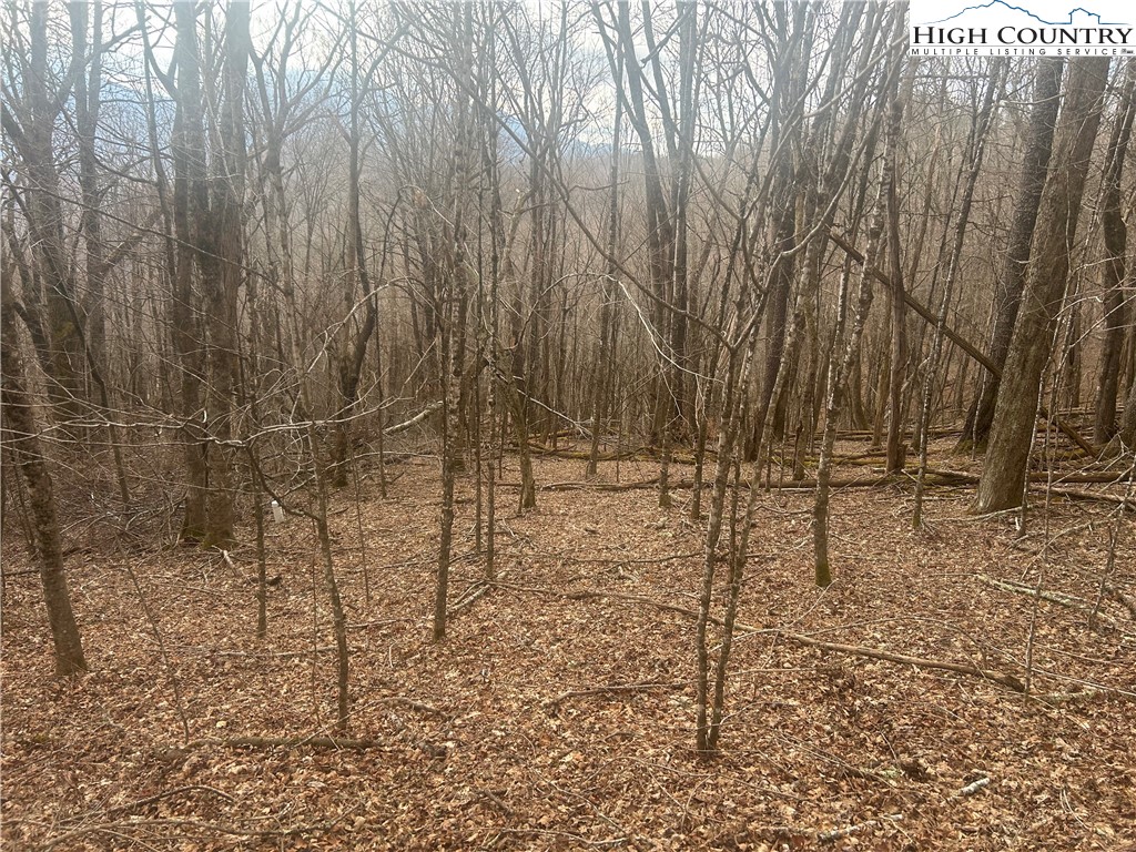 Tbd Rainbow Ridge Road Property Photo 1