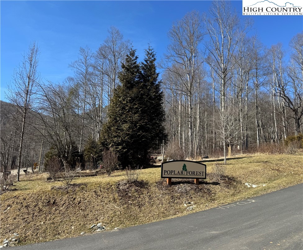 Lot 43 Poplar Forest Drive Property Photo 1