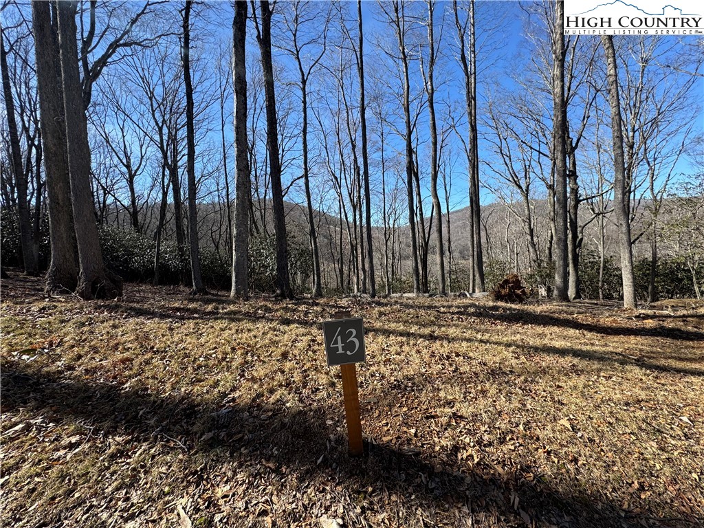 Lot 43 Poplar Forest Drive Property Photo 2