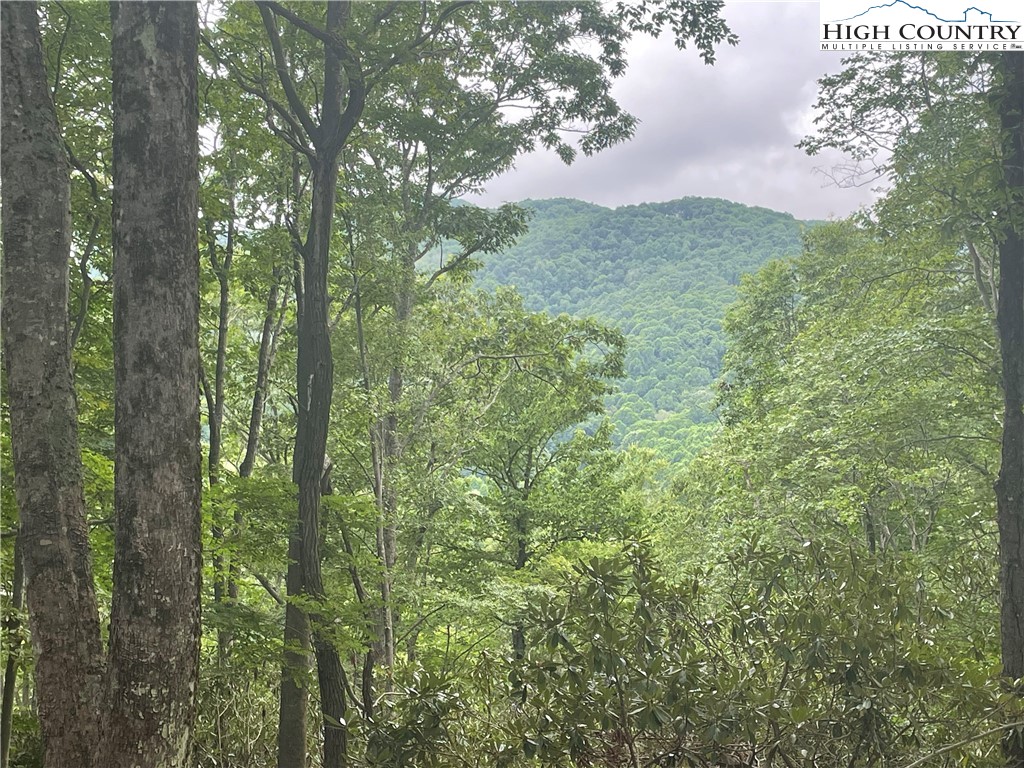 Lot 43 Poplar Forest Drive Property Photo 3