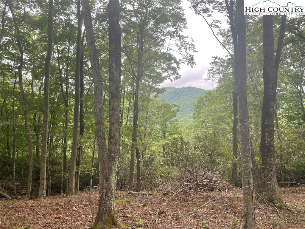 Lot 43 Poplar Forest Drive Property Photo 4