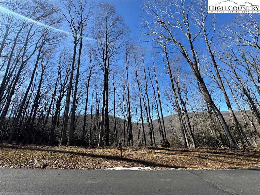 Lot 43 Poplar Forest Drive Property Photo 6