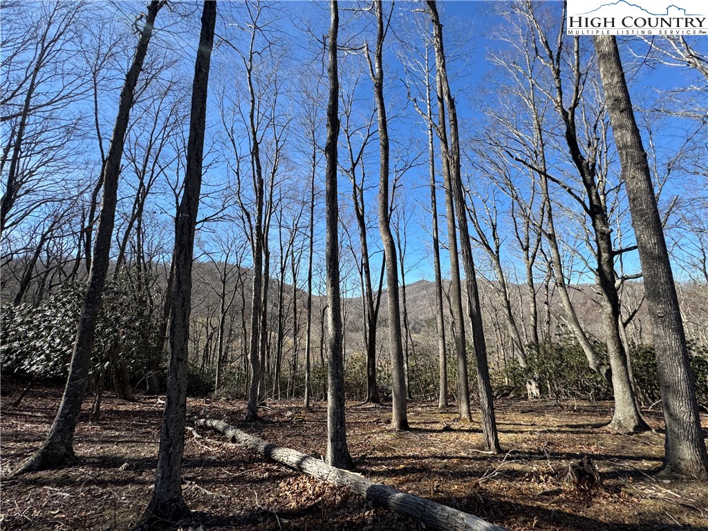 Lot 43 Poplar Forest Drive Property Photo 7