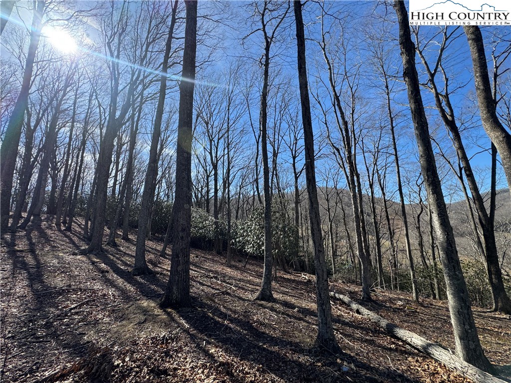 Lot 43 Poplar Forest Drive Property Photo 8