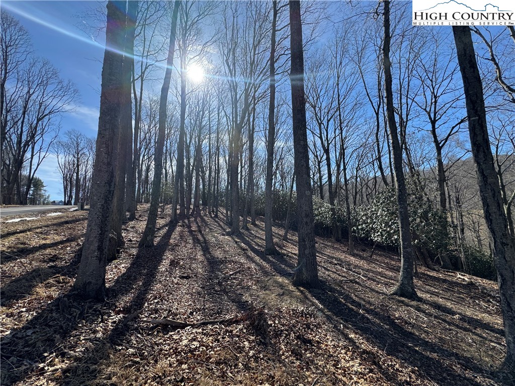 Lot 43 Poplar Forest Drive Property Photo 9