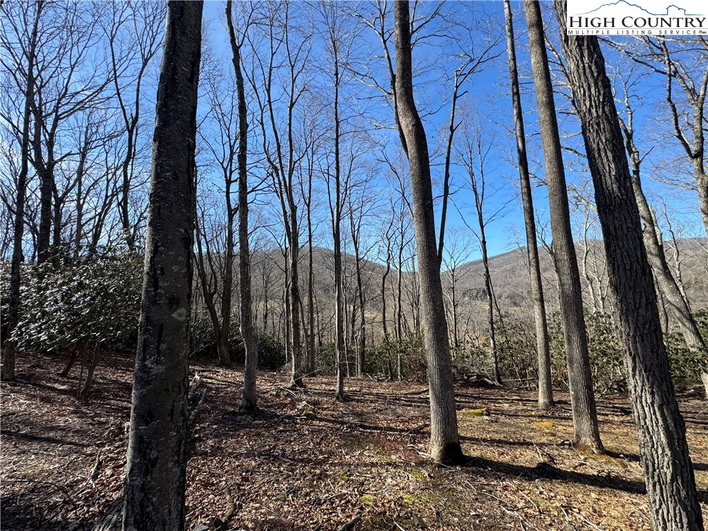 Lot 43 Poplar Forest Drive Property Photo 10