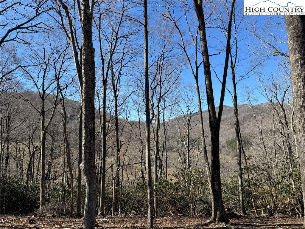 Lot 43 Poplar Forest Drive Property Photo 11