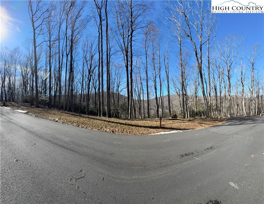 Lot 43 Poplar Forest Drive Property Photo 12