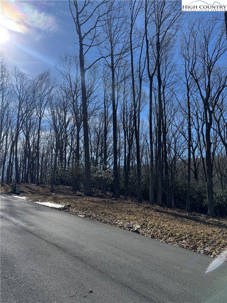 Lot 43 Poplar Forest Drive Property Photo 13