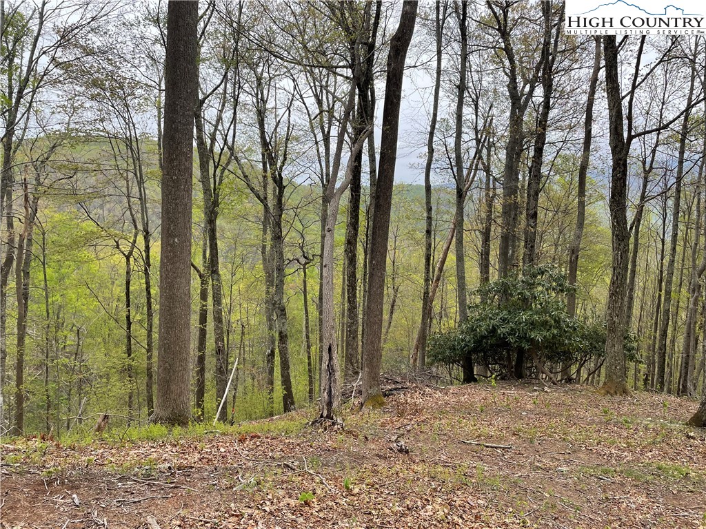 Lot 43 Poplar Forest Drive Property Photo 14