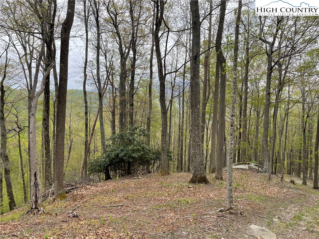 Lot 43 Poplar Forest Drive Property Photo 15