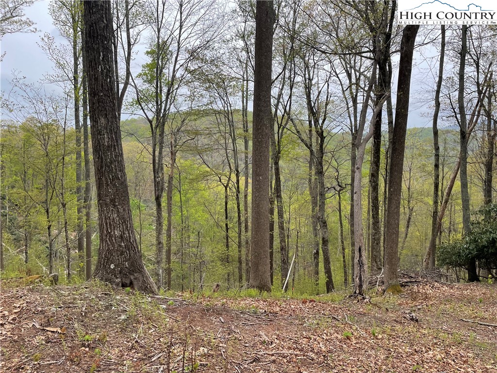 Lot 43 Poplar Forest Drive Property Photo 16