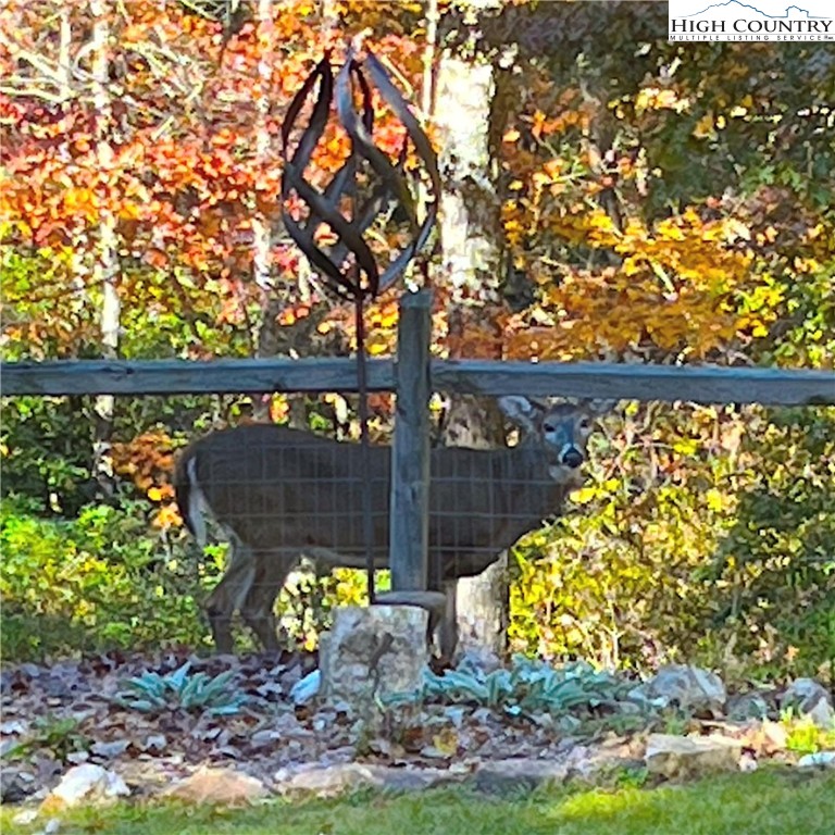 2259 Grassy Creek Road Property Photo 24