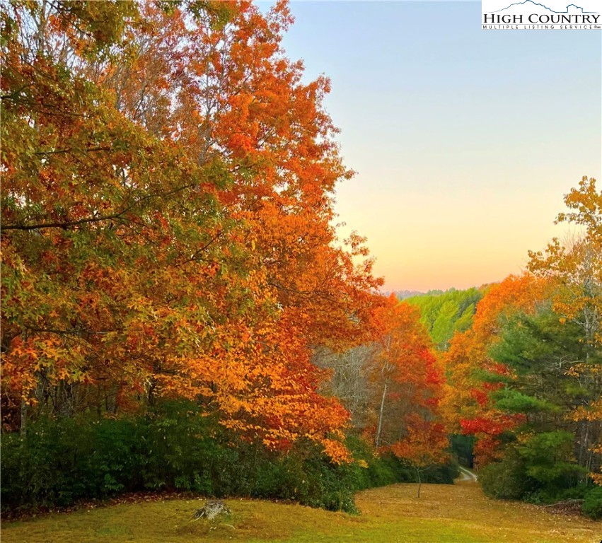 2259 Grassy Creek Road Property Photo 25