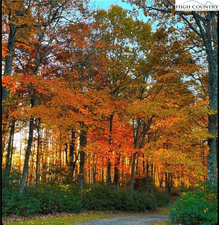 2259 Grassy Creek Road Property Photo 26