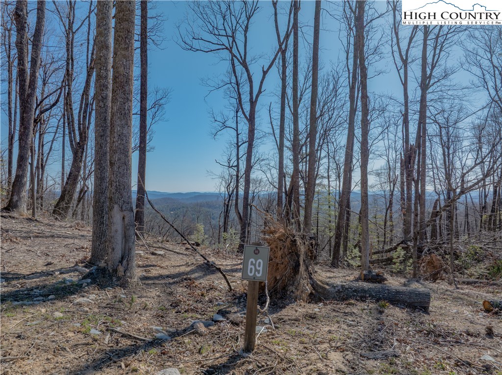 Lot 69 Angelfire Trail Property Photo 2