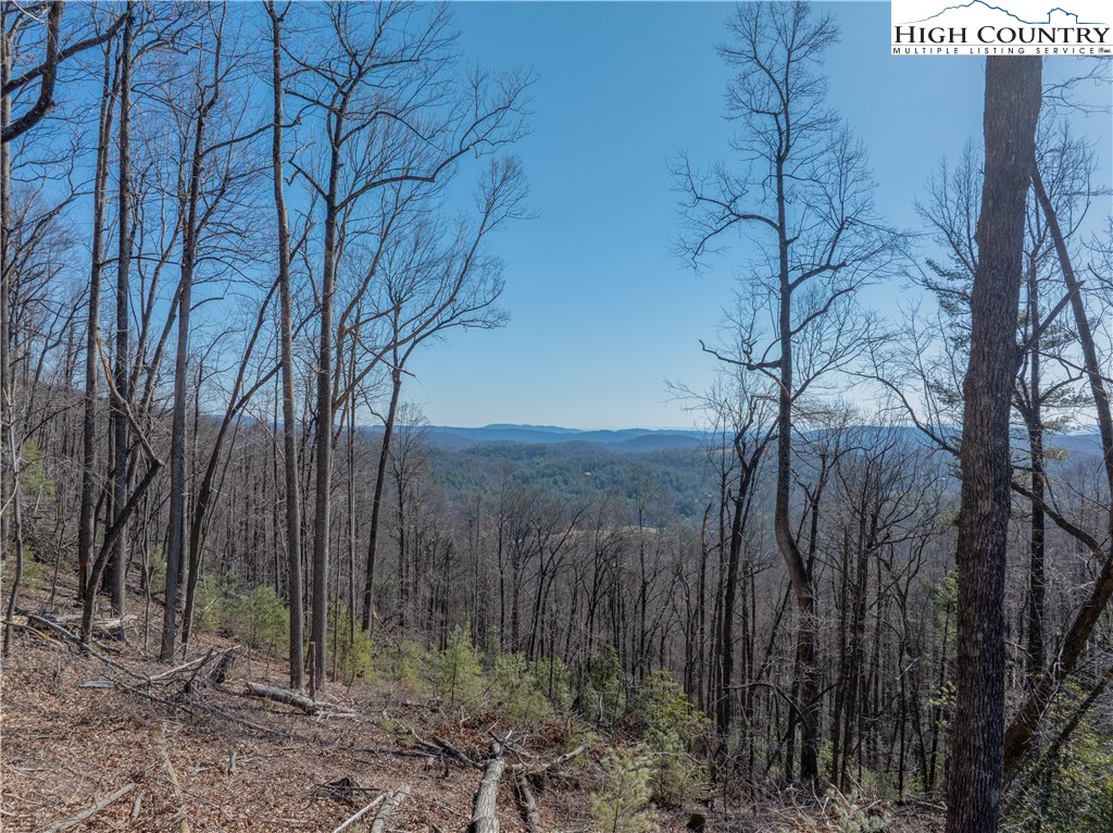 Lot 69 Angelfire Trail Property Photo 3