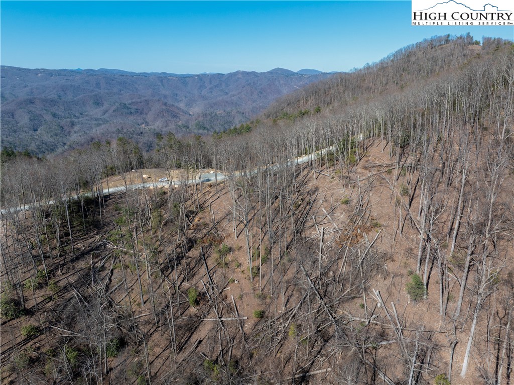 Lot 69 Angelfire Trail Property Photo 4