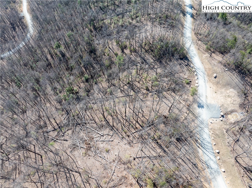 Lot 69 Angelfire Trail Property Photo 11