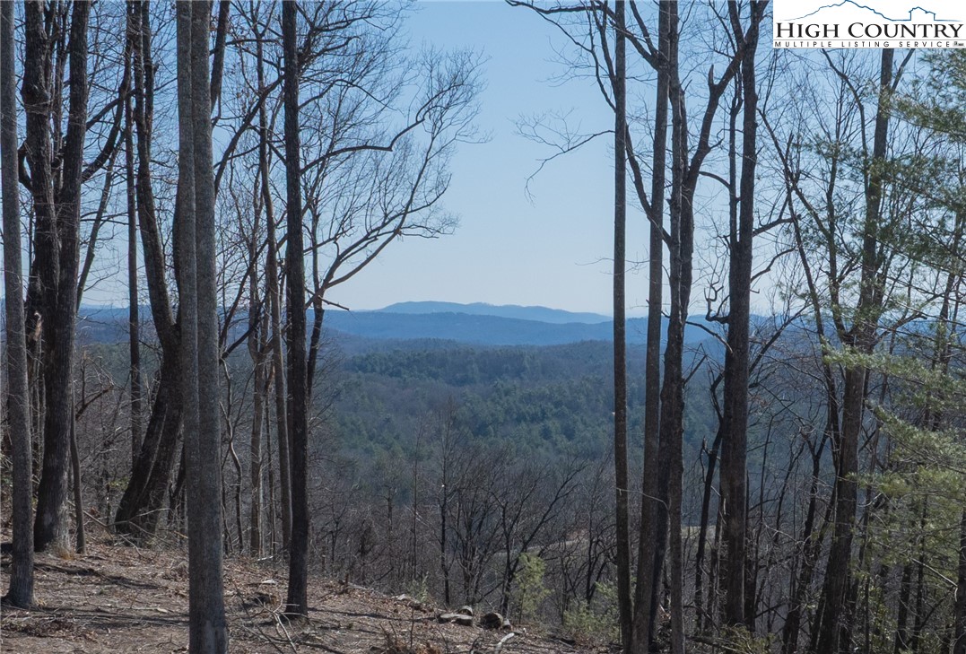 Lot 69 Angelfire Trail Property Photo 13
