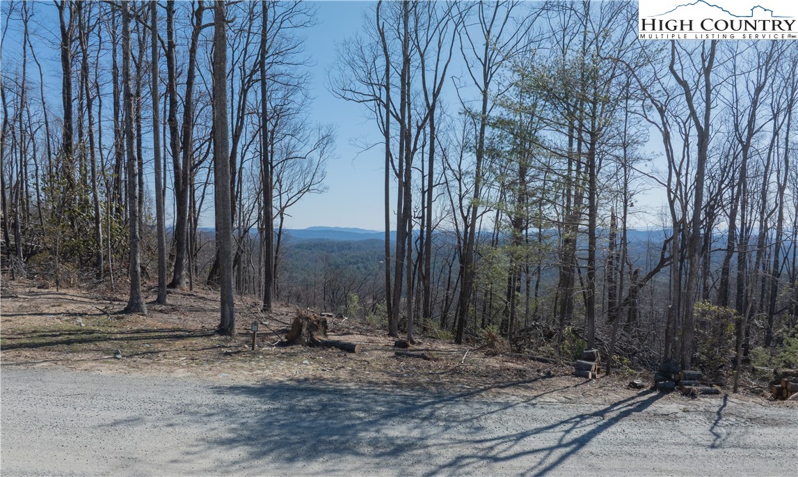 Lot 69 Angelfire Trail Property Photo 14